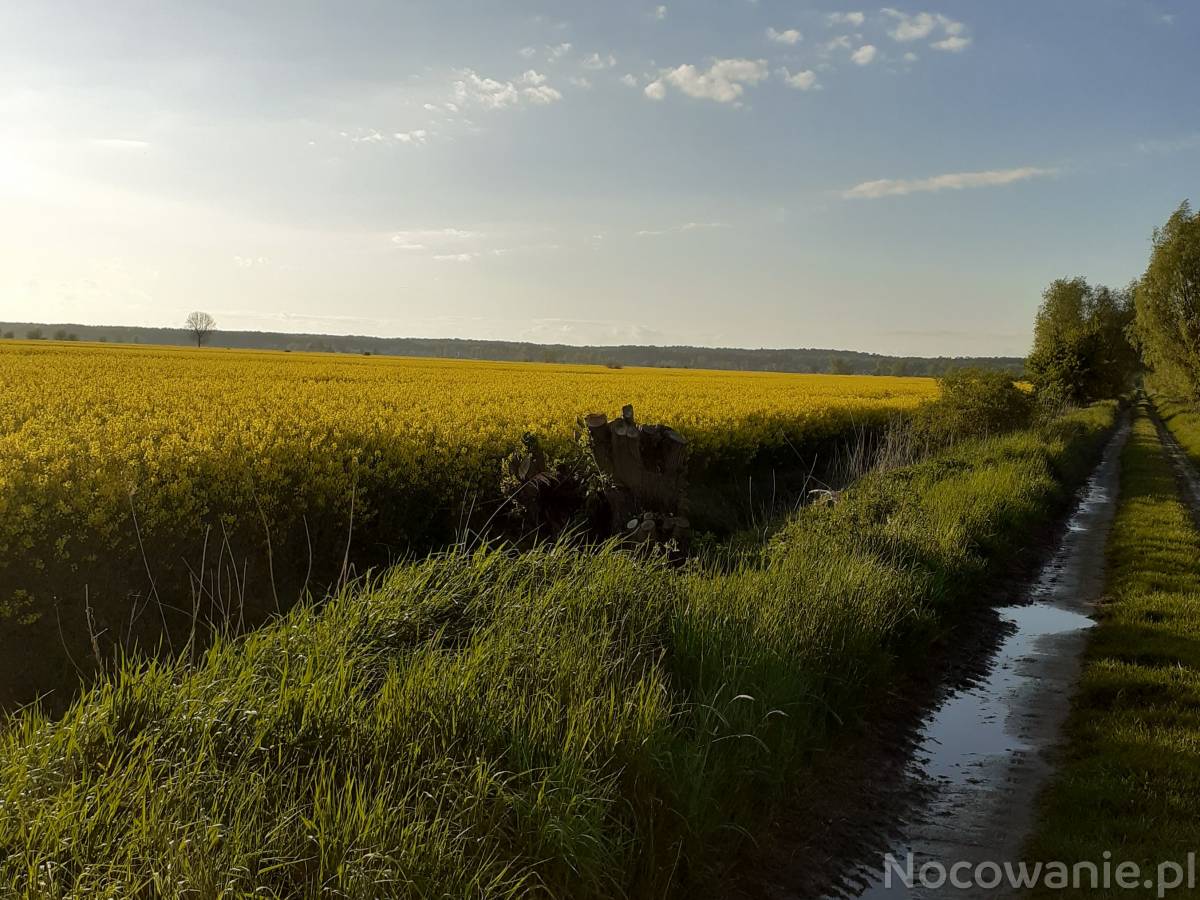 Noclegi w ustronnym miejscu