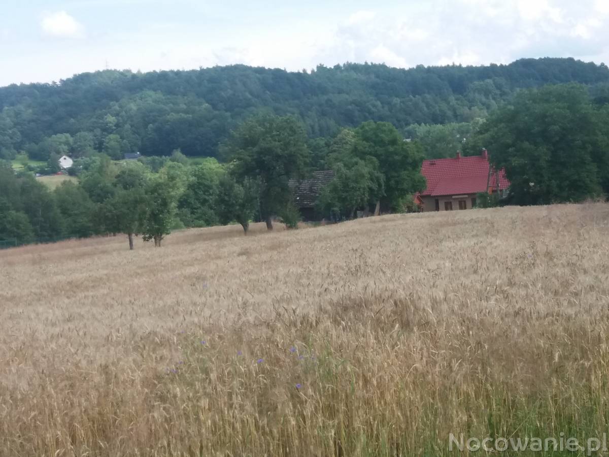 Noclegi w ustronnym miejscu