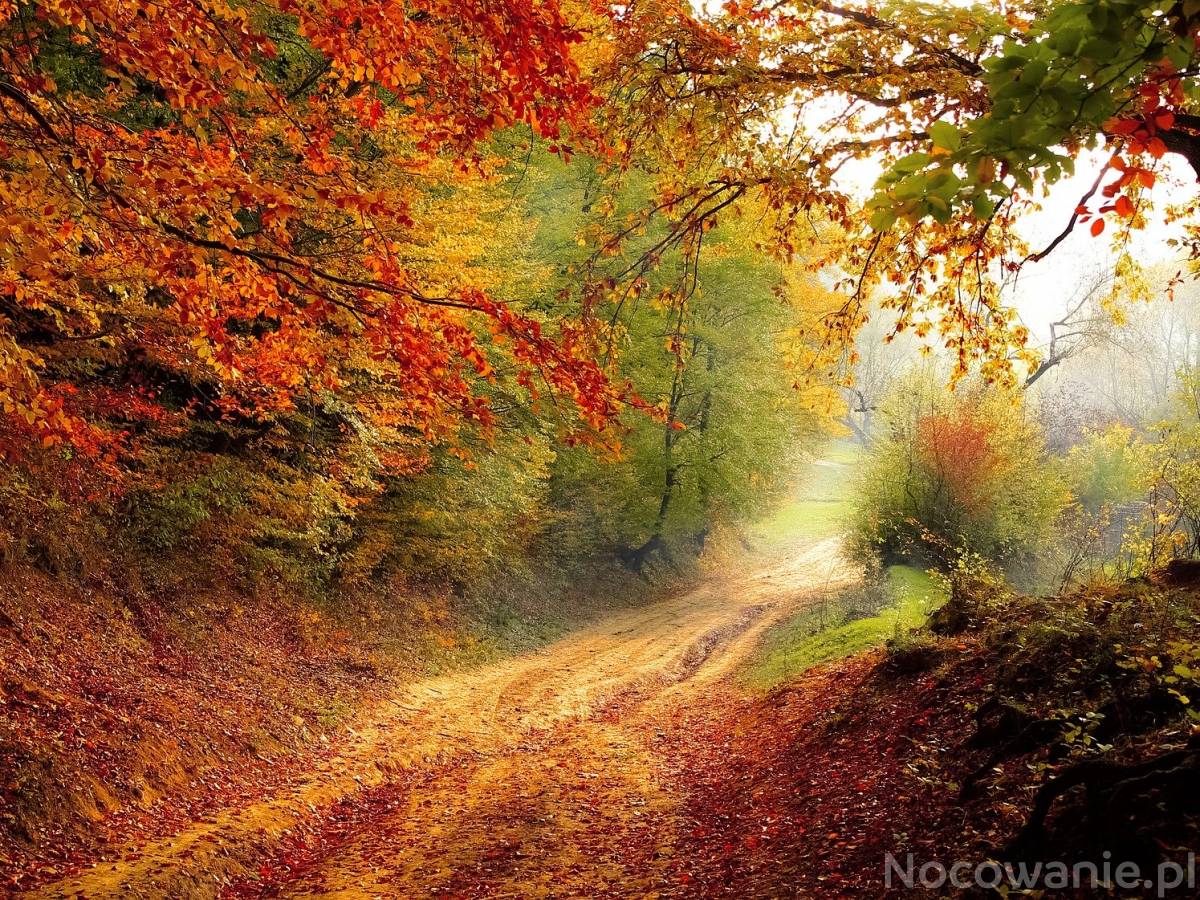 Dla turystów portalu