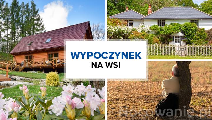 Wypoczynek na wsi. Dlaczego warto wybrać agroturystykę?
