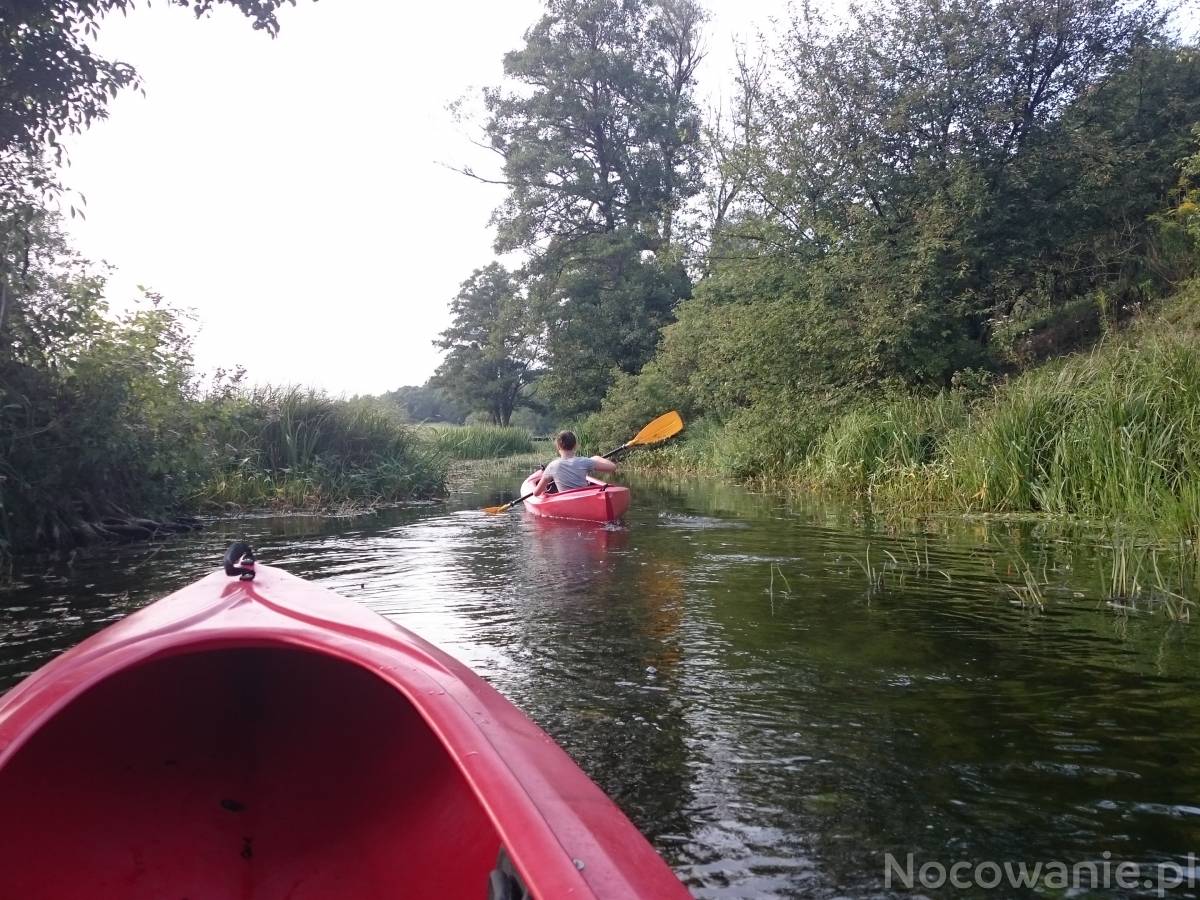 Spływy kajakowe rzeką Sapiną