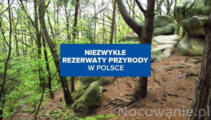 Najbardziej niezwykłe rezerwaty przyrody w Polsce! Znasz je wszystkie?