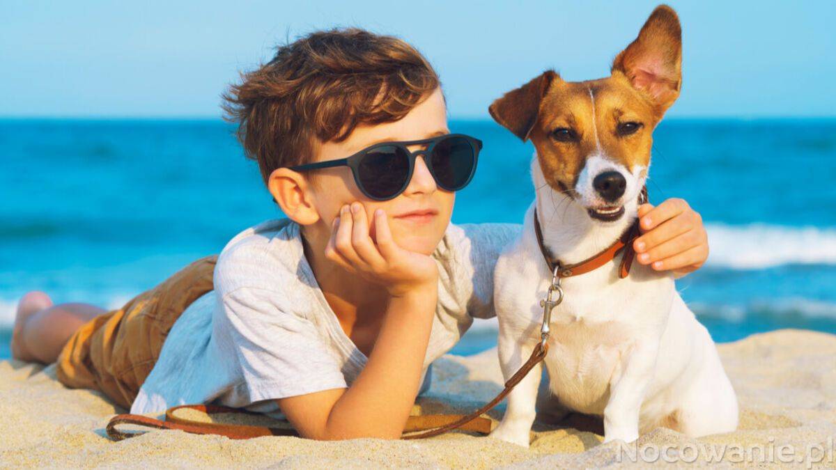 Wczasy z psem