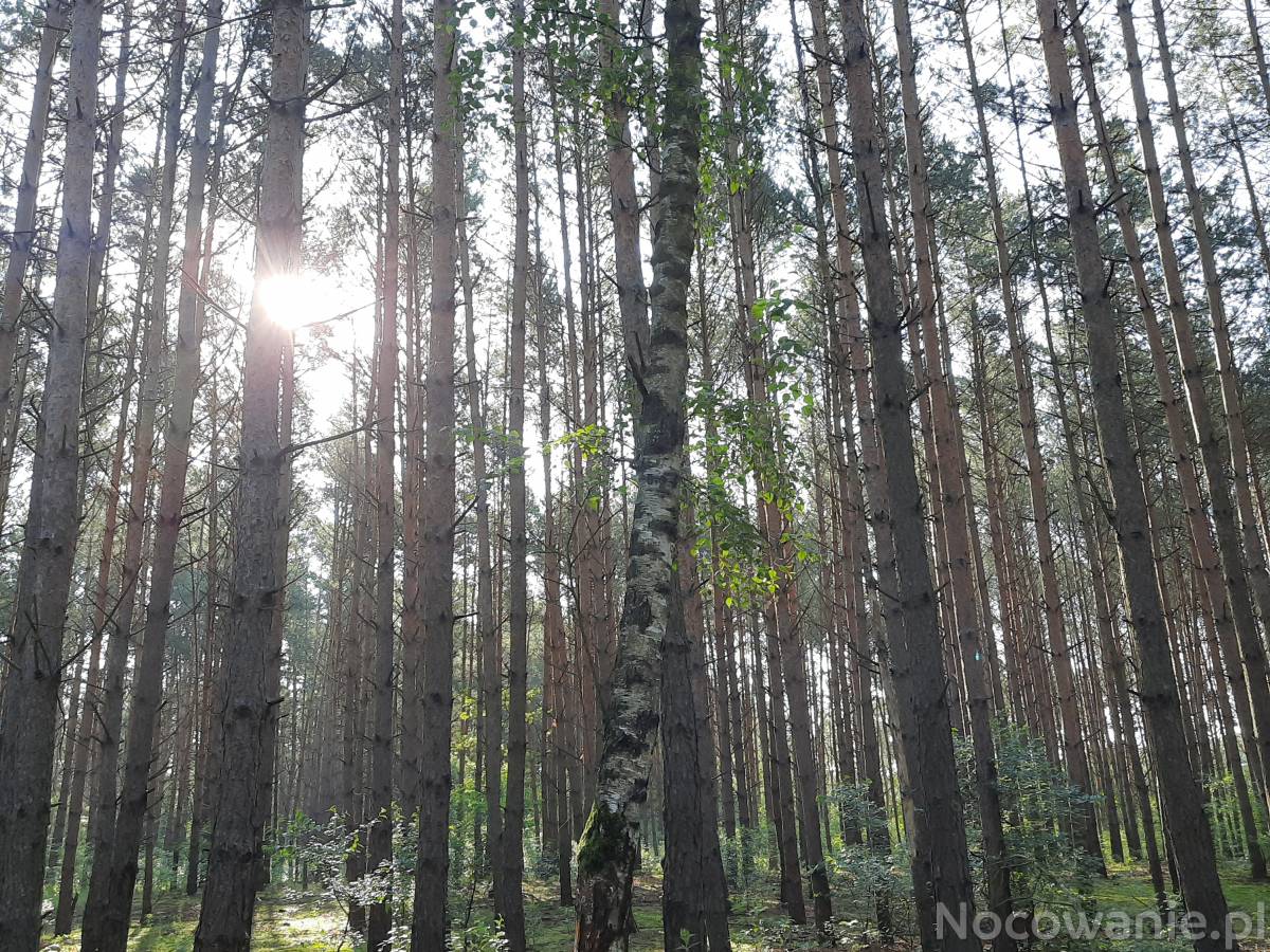 Noclegi w ustronnym miejscu