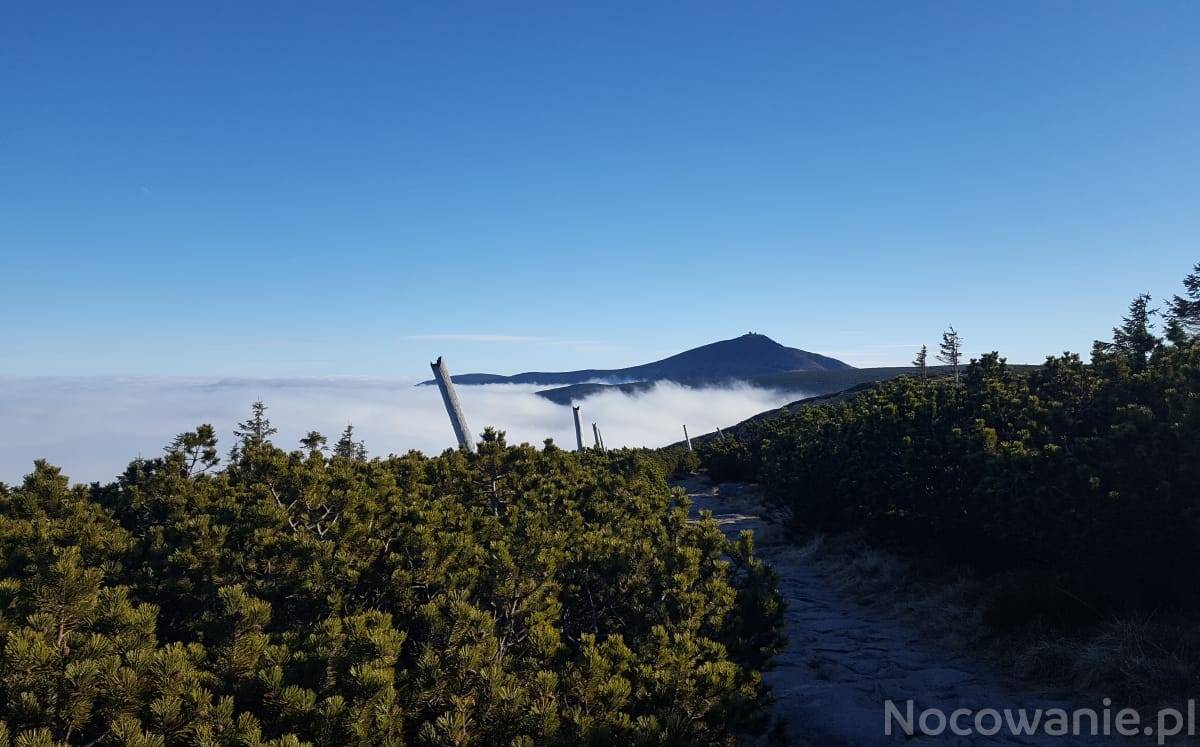 Oferta poza weekendem