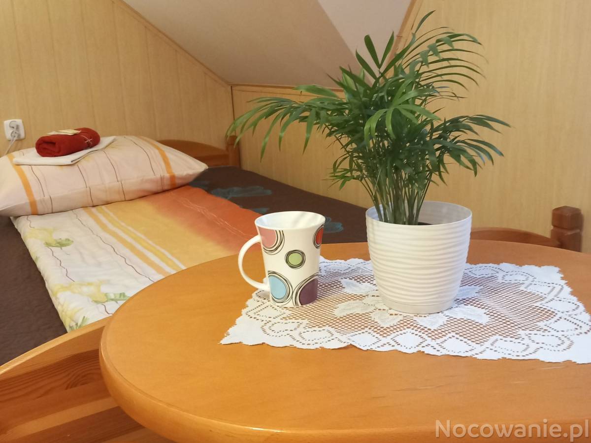 Oferta poza weekendem