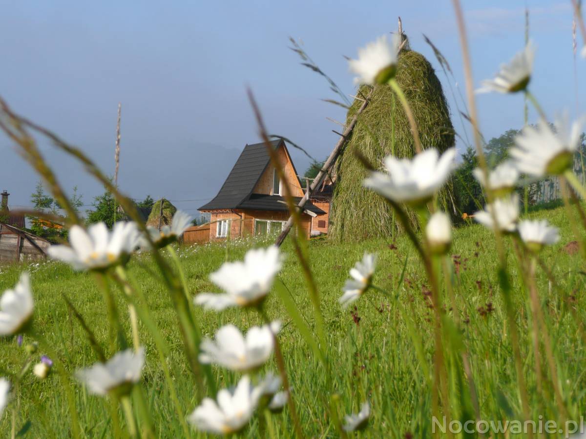 Noclegi w ustronnym miejscu