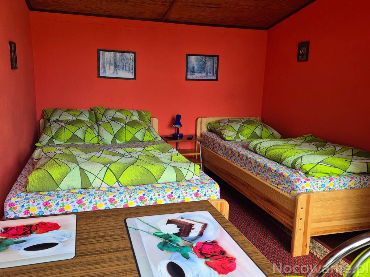 Agroturystyka u Tomasza