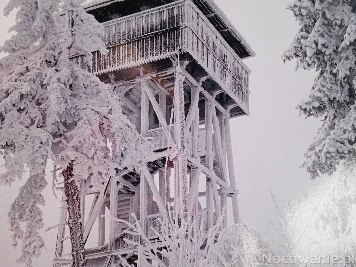 Zimowa Wycieczka - Gorc z wieżą widokową