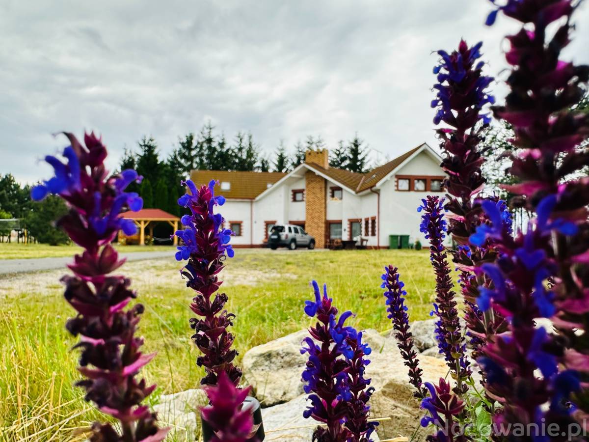 Między Nami a Sosnami Uniejów