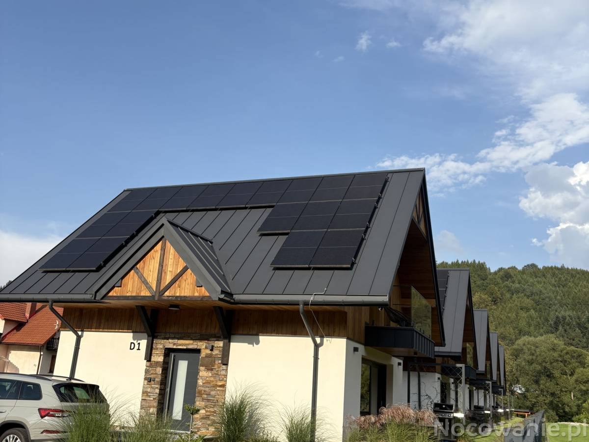 Redyk jesienny blisko centrum Szczawnica