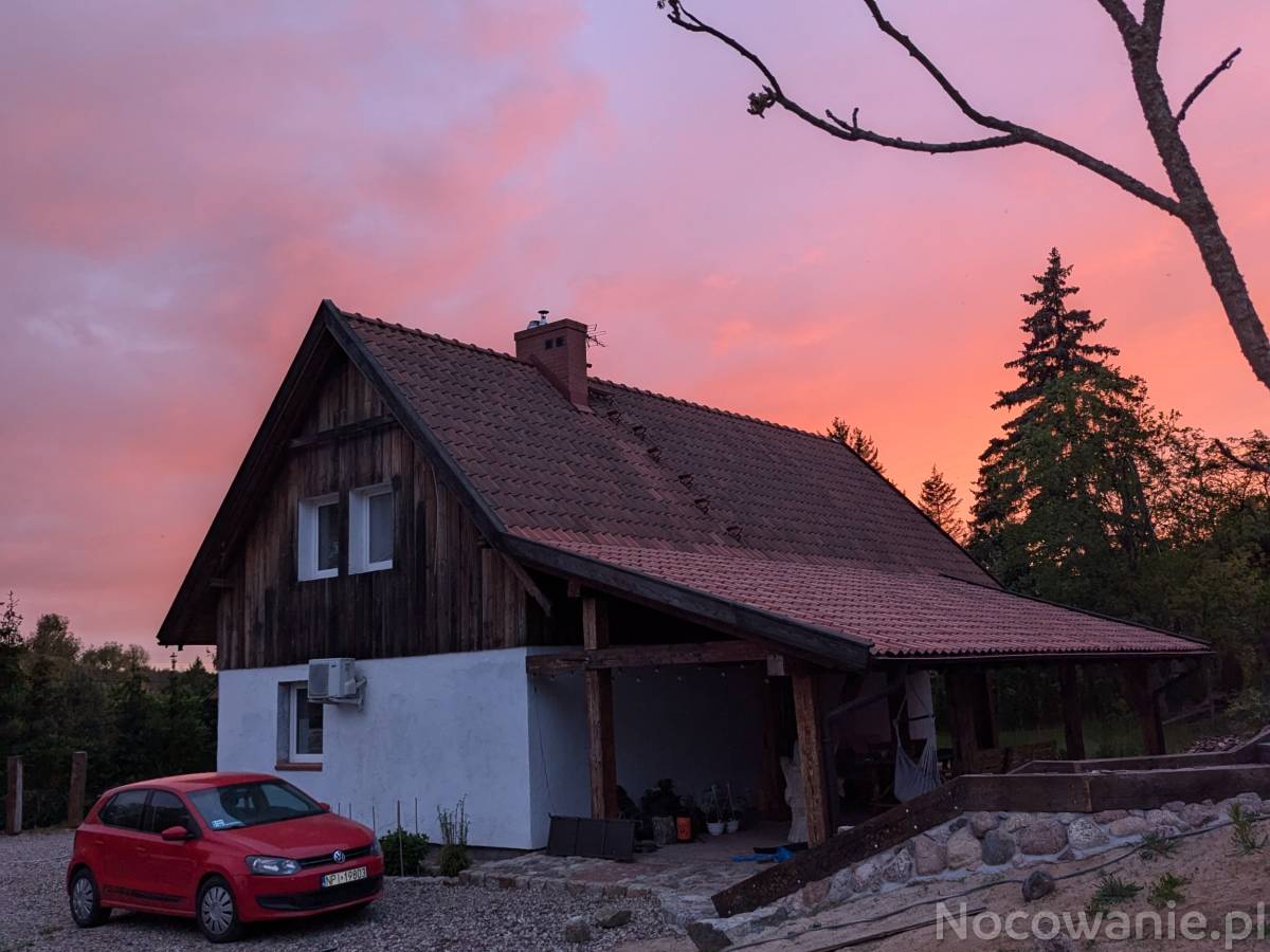 Król Puszczy nad jeziorem Mokre