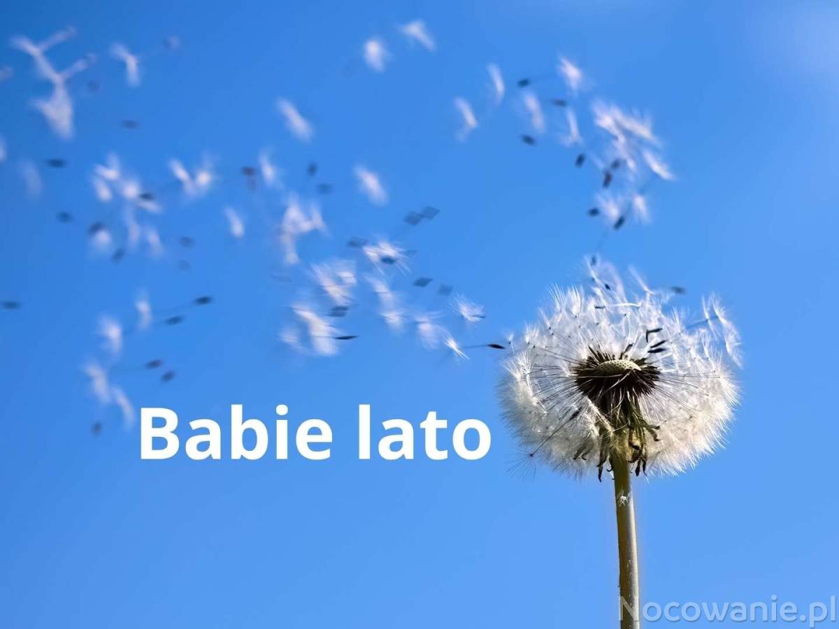 Babie Lato z widokiem na morze