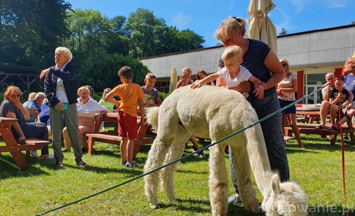 Turnus rehabilitacyjny dziecko do 10 lat z zabiegami i opiekunem