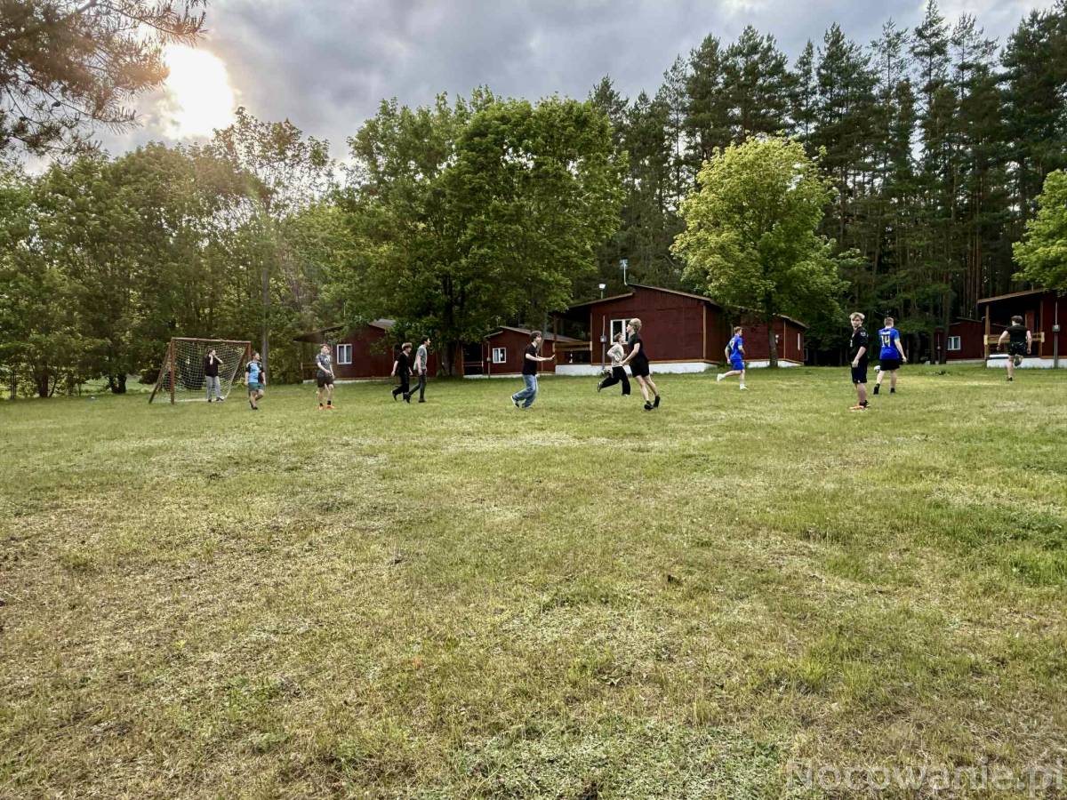 Kolonie, obozy, zielone szkoły