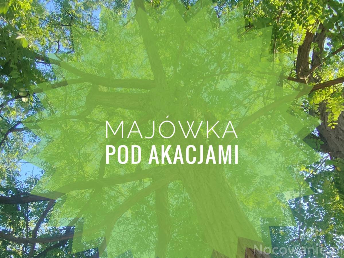 Majówka pod akacjami