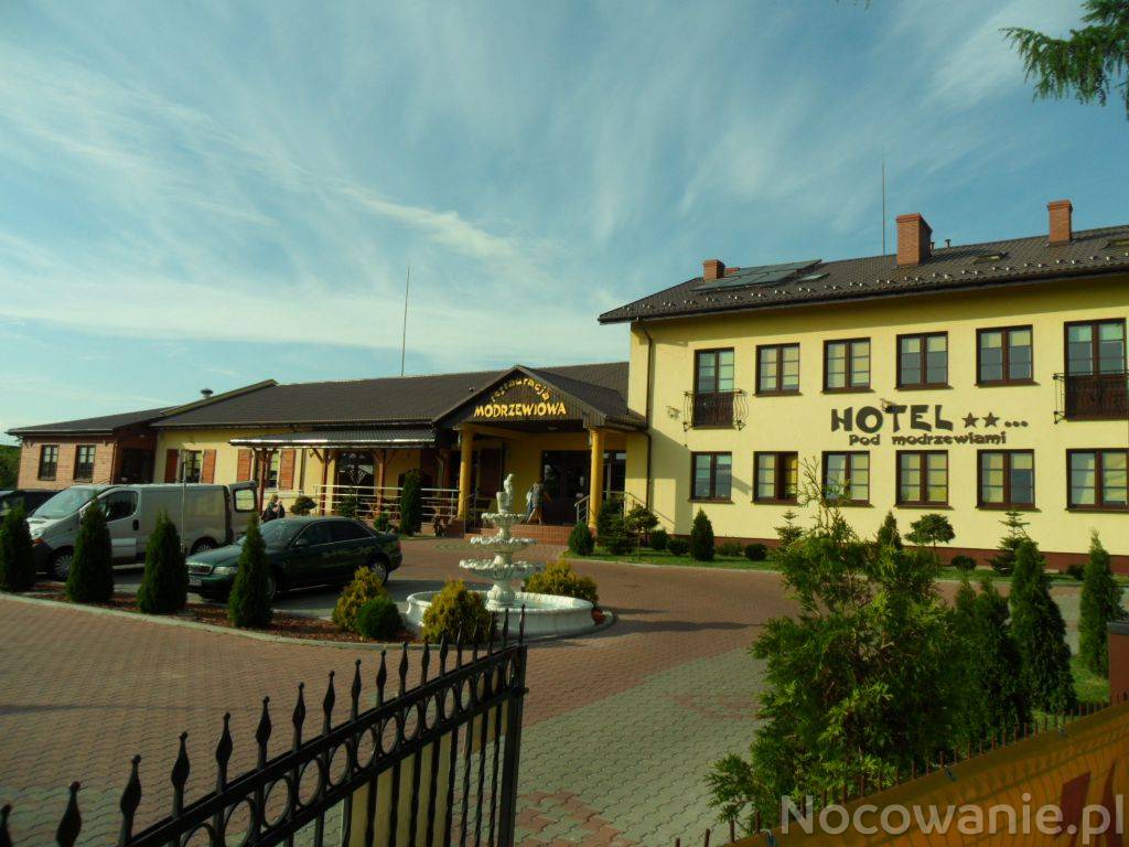 restauracja-hotel-modrzewiowa-rypin-nocowanie-pl