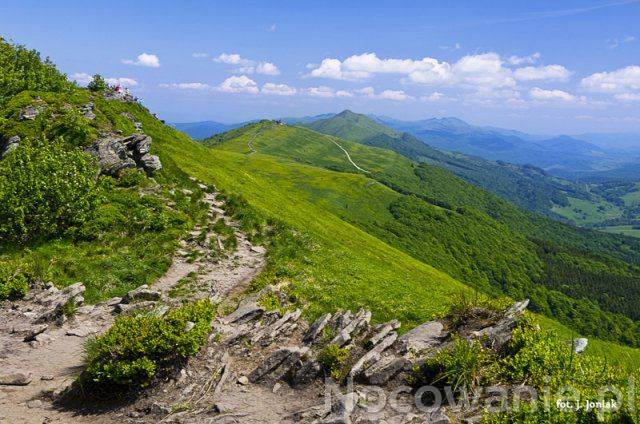 WIOSENNA EKSPLOZJA PROMOCJI 2012