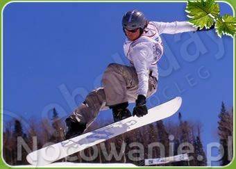 Narty, Snowboard