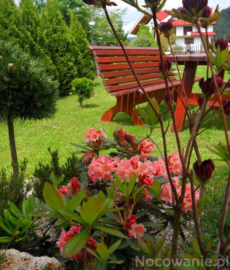 Noclegi w Koninkach,Pokoje do wynajęcia