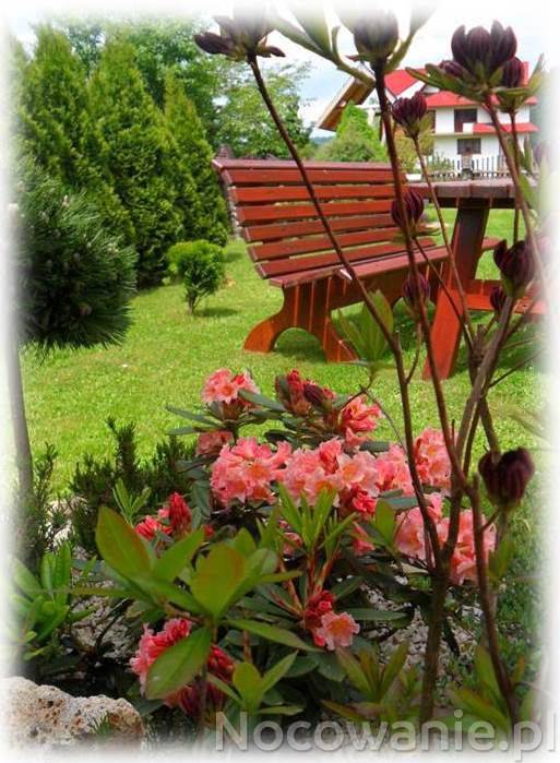 POKOJE DO WYNAJECIA W KONINKACH