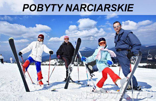 Narty, Snowboard