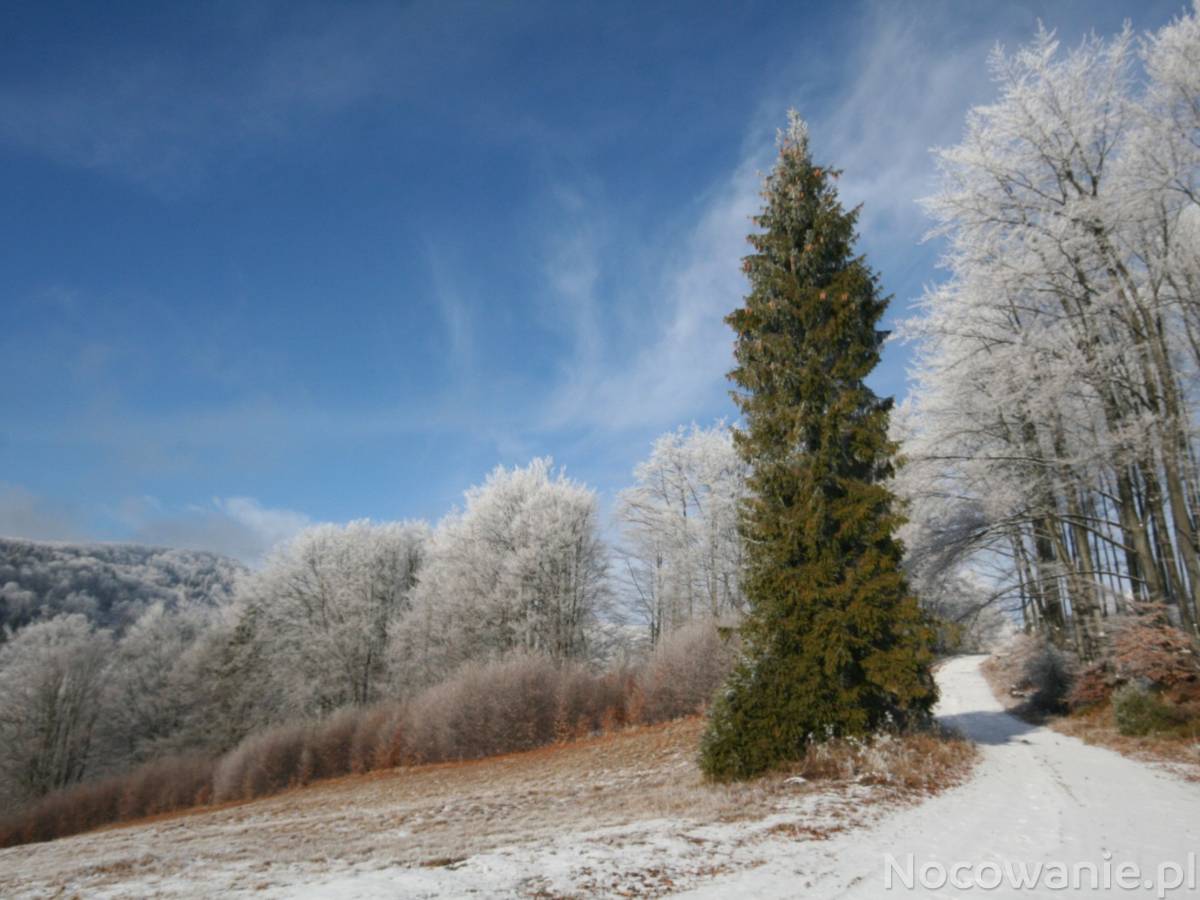 Zakończenie SEZONU NARCIARSKIEGO