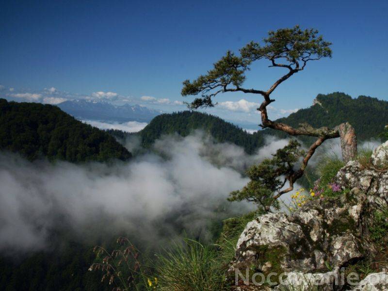 Majówka last minute!!!