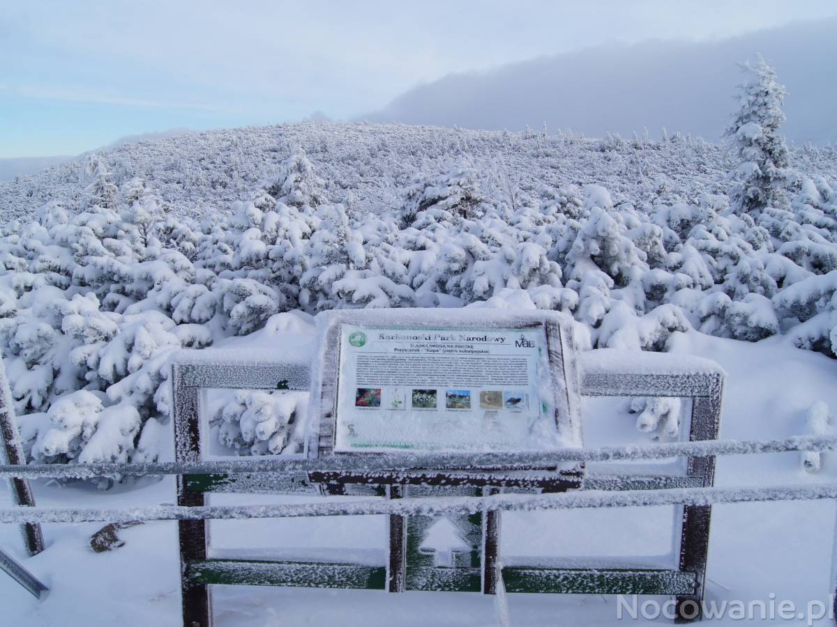 Zimowisko 2026 (grupy młodzieżowe)