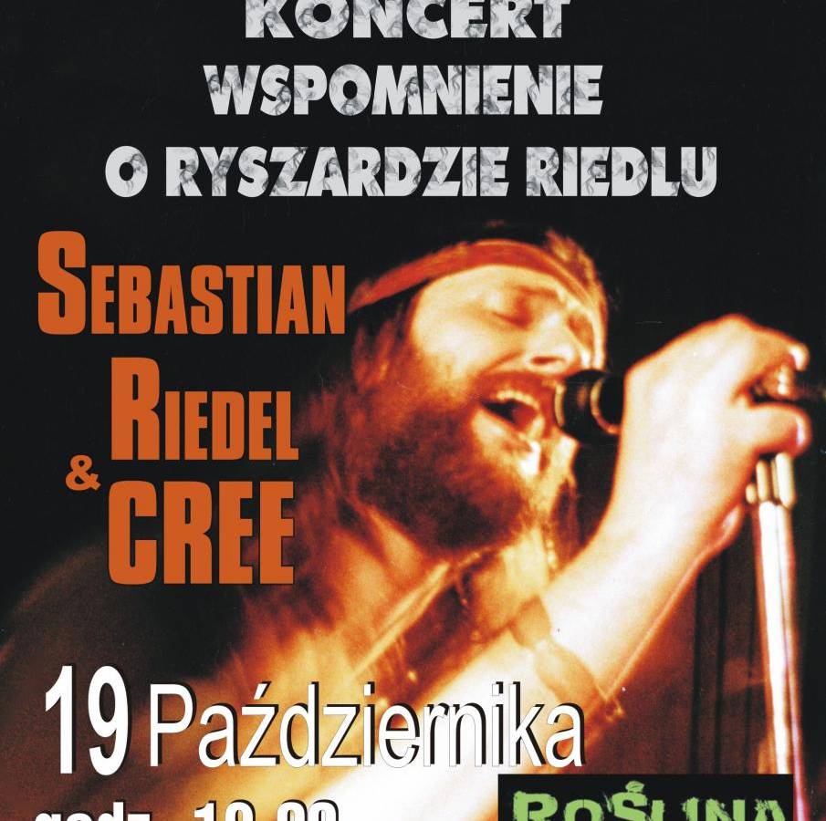 Kult Akustik w Lublinie