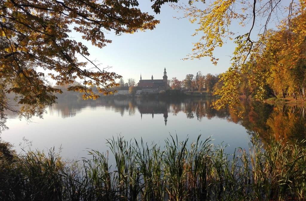 Kolegiata pw. Wniebowzięcia Najświętszej Maryi Panny w Kartuzach