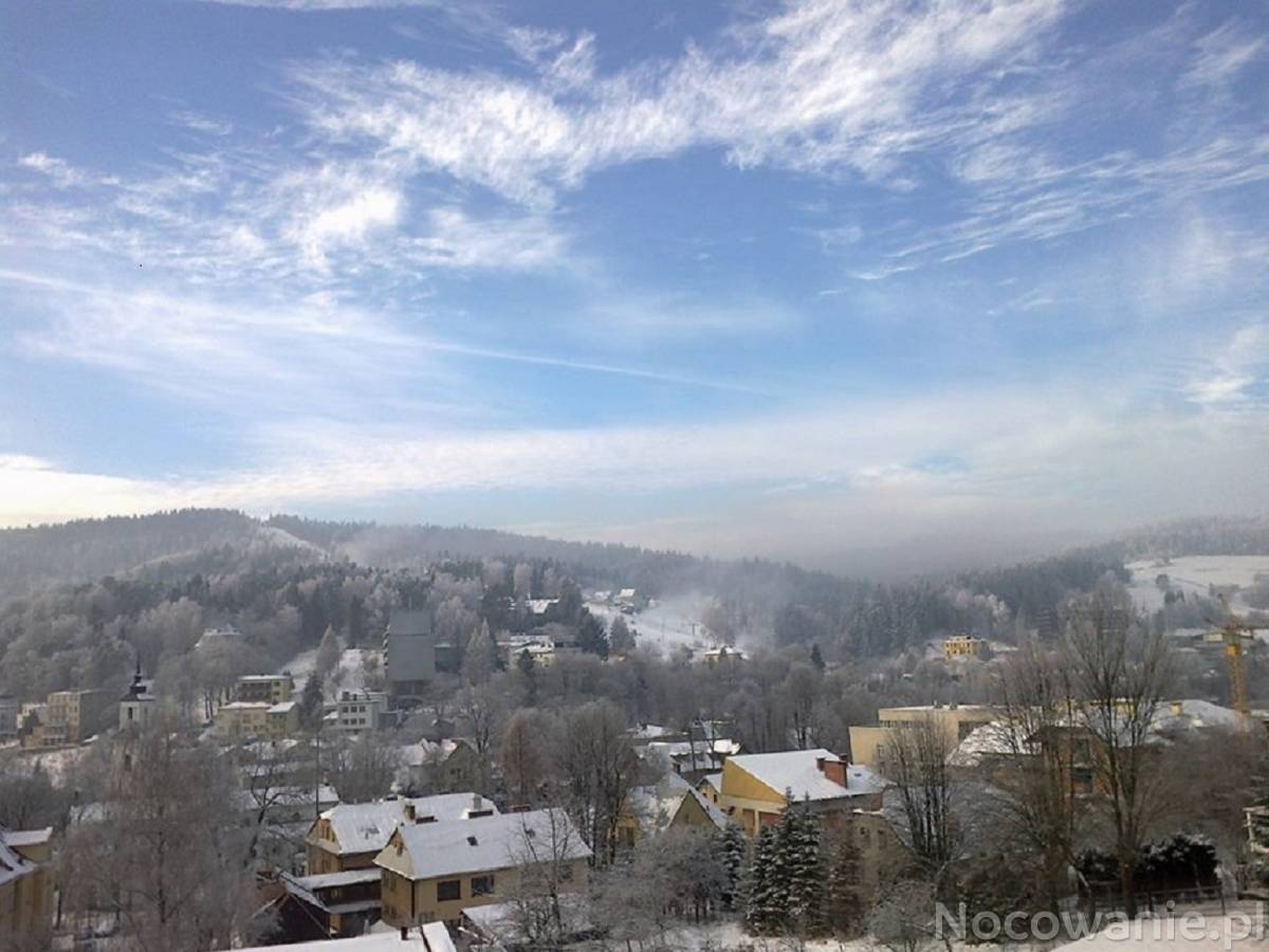 Oferta świąteczna !