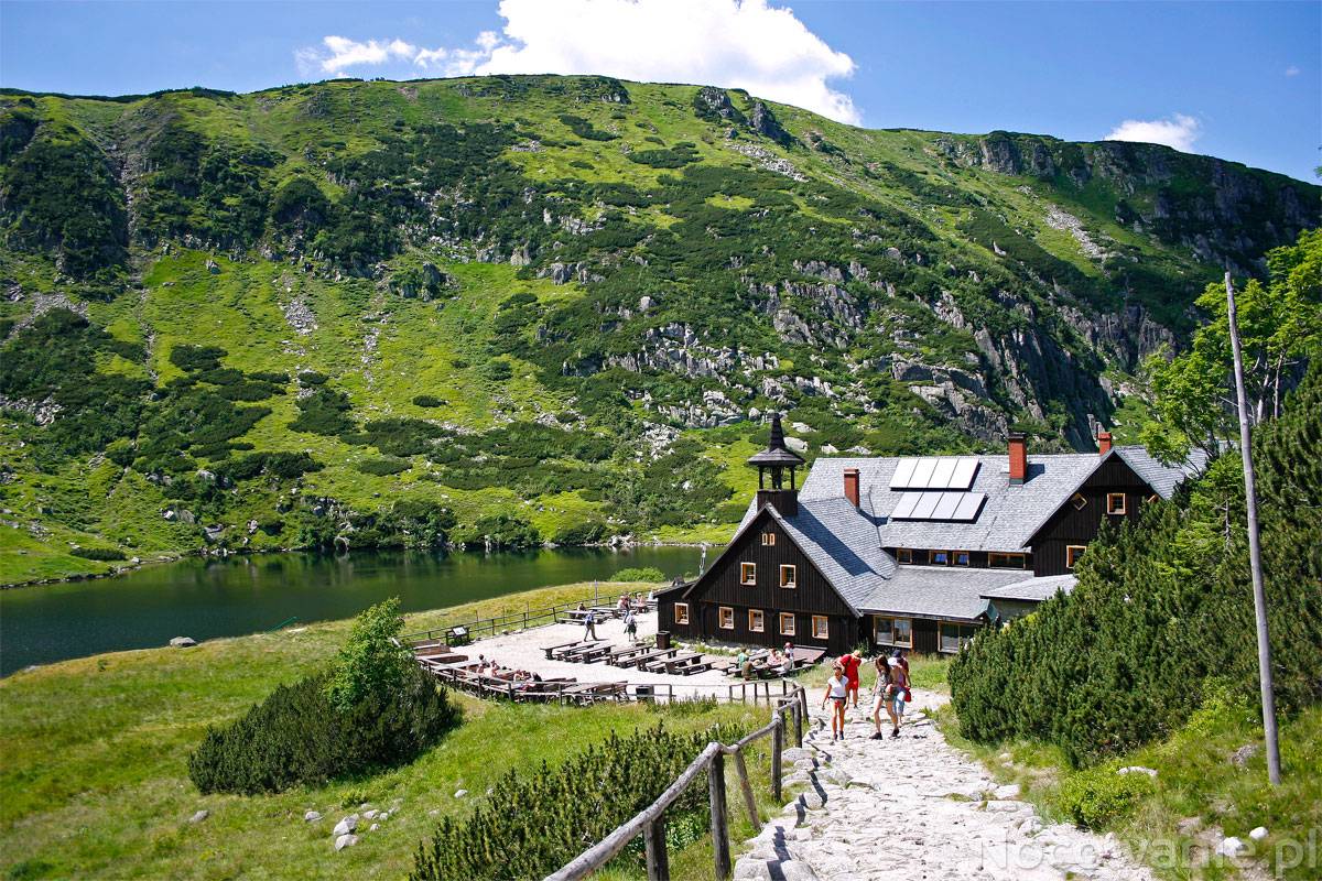 Kolonie, obozy, zielone szkoły