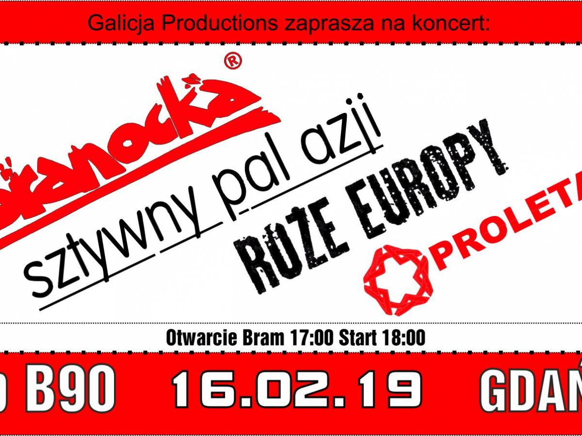 Koncert: Kobranocka, Sztywny Pal Azji, Proletaryat, Róże Europy w Gdańsku