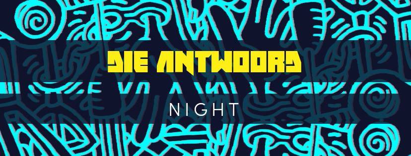 Die Antwoord Night we Wrocławiu
