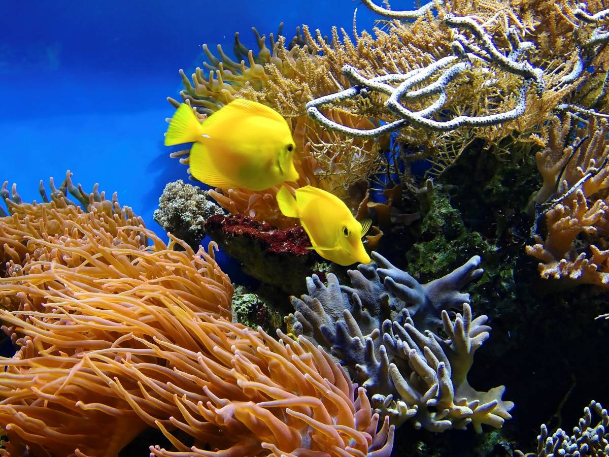 Wieczorne zwiedzanie Afrykarium we Wrocławiu