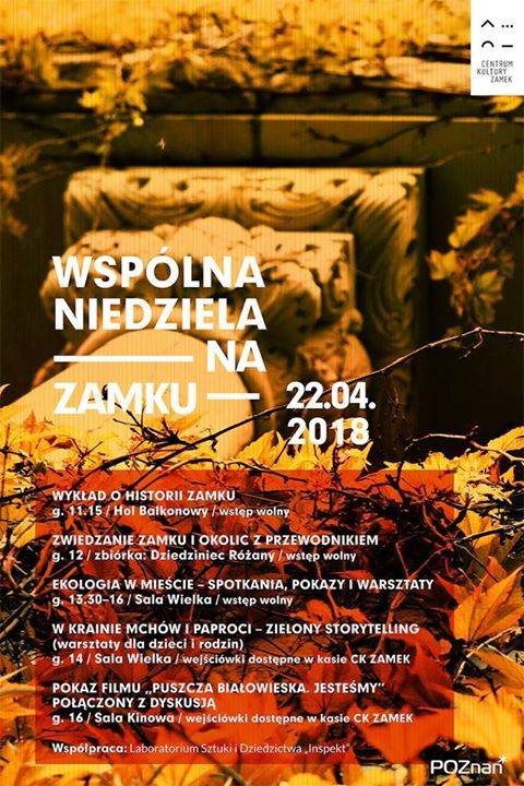Kult Akustik w Lublinie