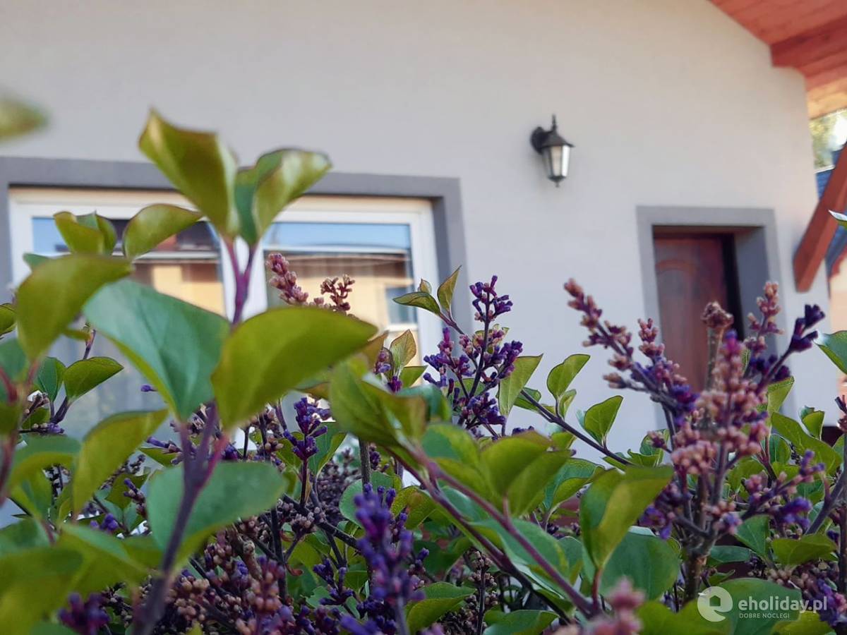 Pokoje Gościnne Mario i Domek Letniskowy