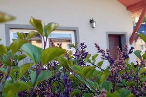 Pokoje Gościnne Mario i Domek Letniskowy