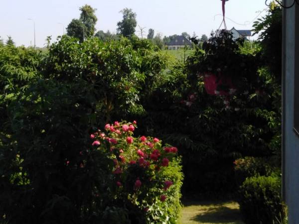 Kamienny Dworek Pokoje Gościnne i Pracownicze