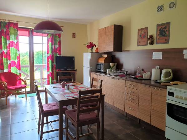 Jadalnia z aneksem kuchennym