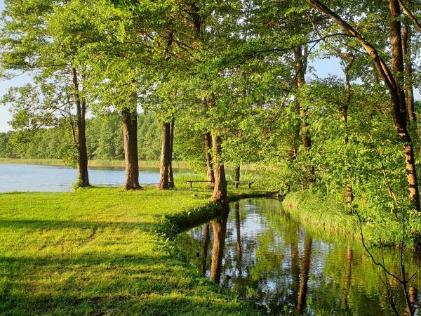 Do jez. Wierzbowskiego wpływa strumyk