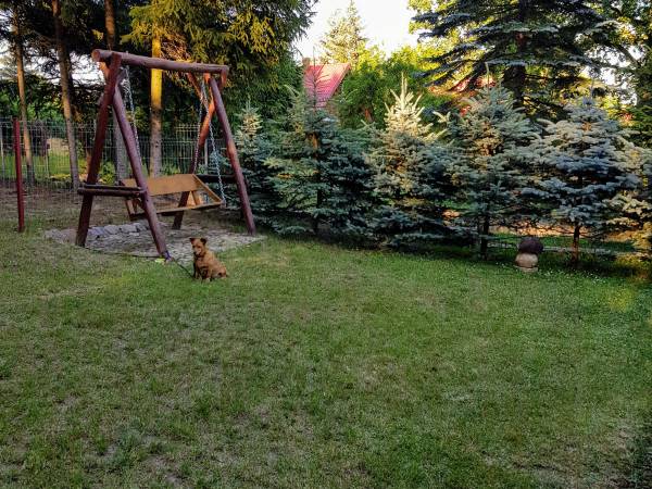 Przestrzeń zielona z huśtawką w górnej części działki