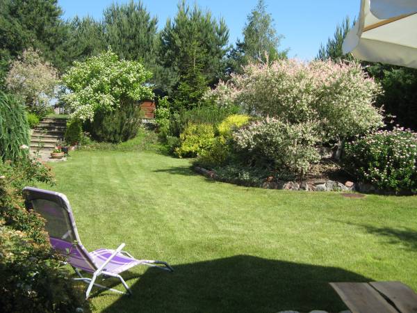 Domek przy dolinie 2 - zieleń