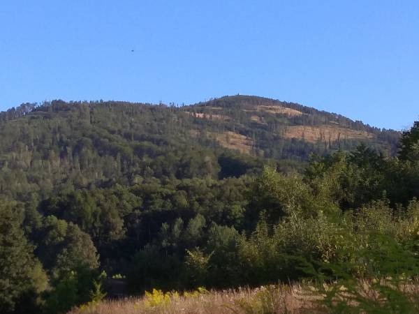 Biskupia Kopa 2019 r.