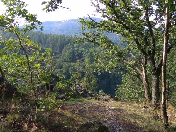 Widok na Biskupią Kopę (ze skałek na szlaku do Żabiego Oczka).