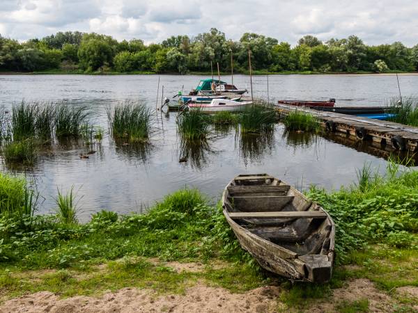 pobliska Narew