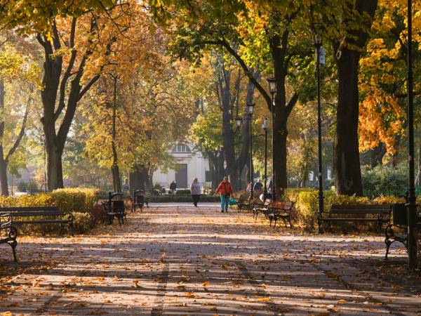 dom noclegowy znajduje się przy parku miejskim