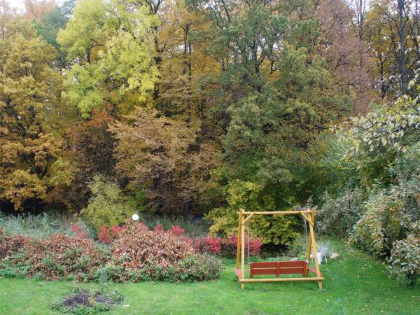 Widok na ogród jesienią.