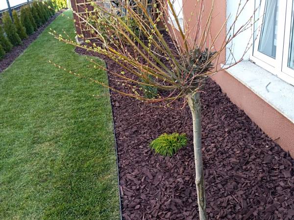 Pokoje Gościnne Venezia